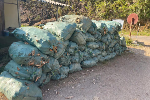 📢 THÔNG BÁO TUYÊN TRUYỀN VỀ THU MUA SẮN TRÊN ĐỊA BÀN XÃ NẬM SỎ